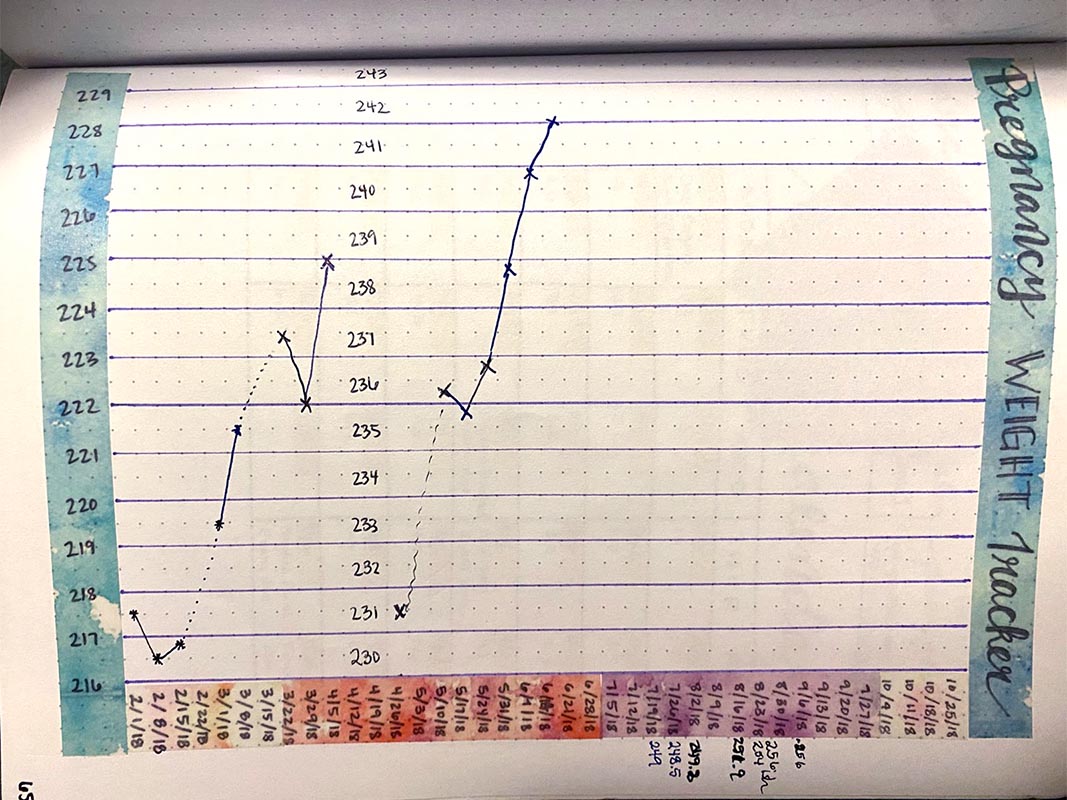 Bullet journal weight tracker example